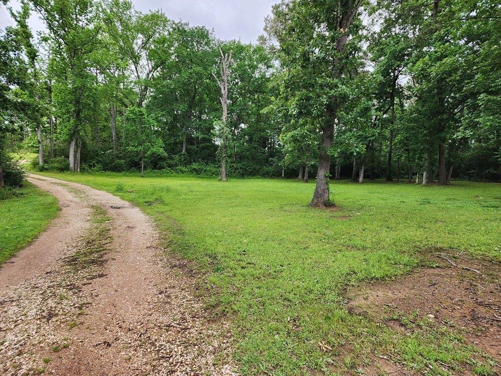 County Road 124, Nacogdoches, TX 75965