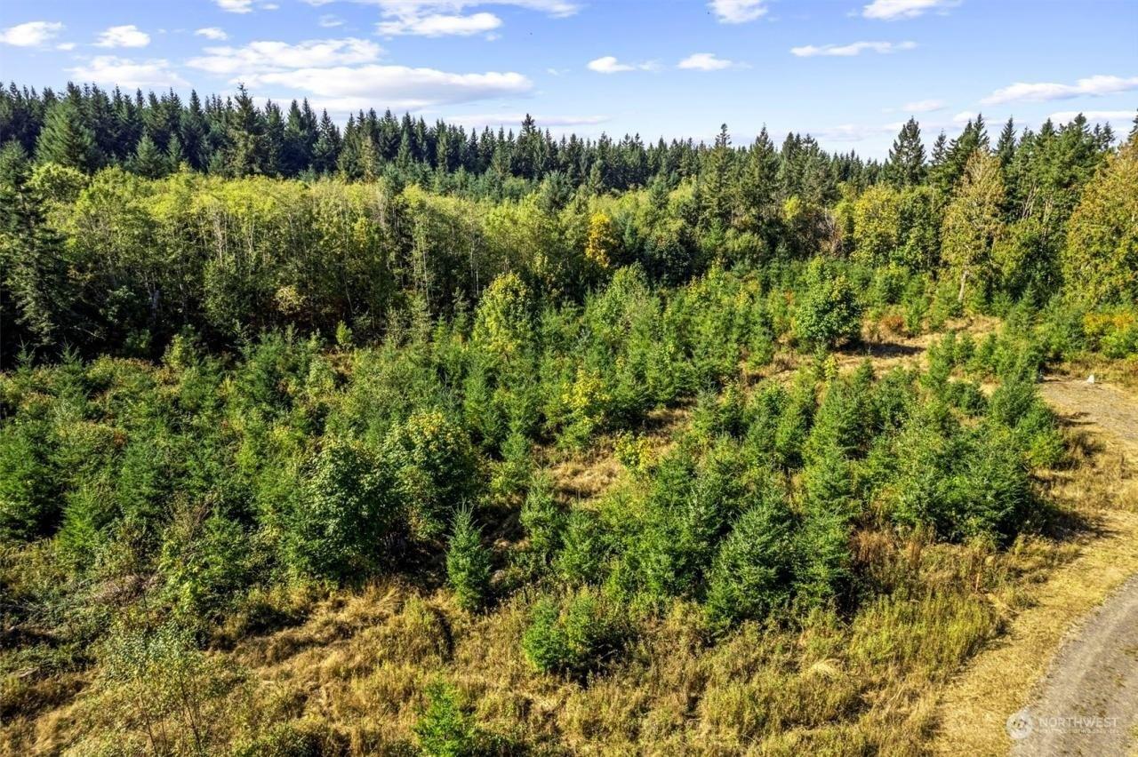 George Taylor Rd, Silverlake, WA 98645