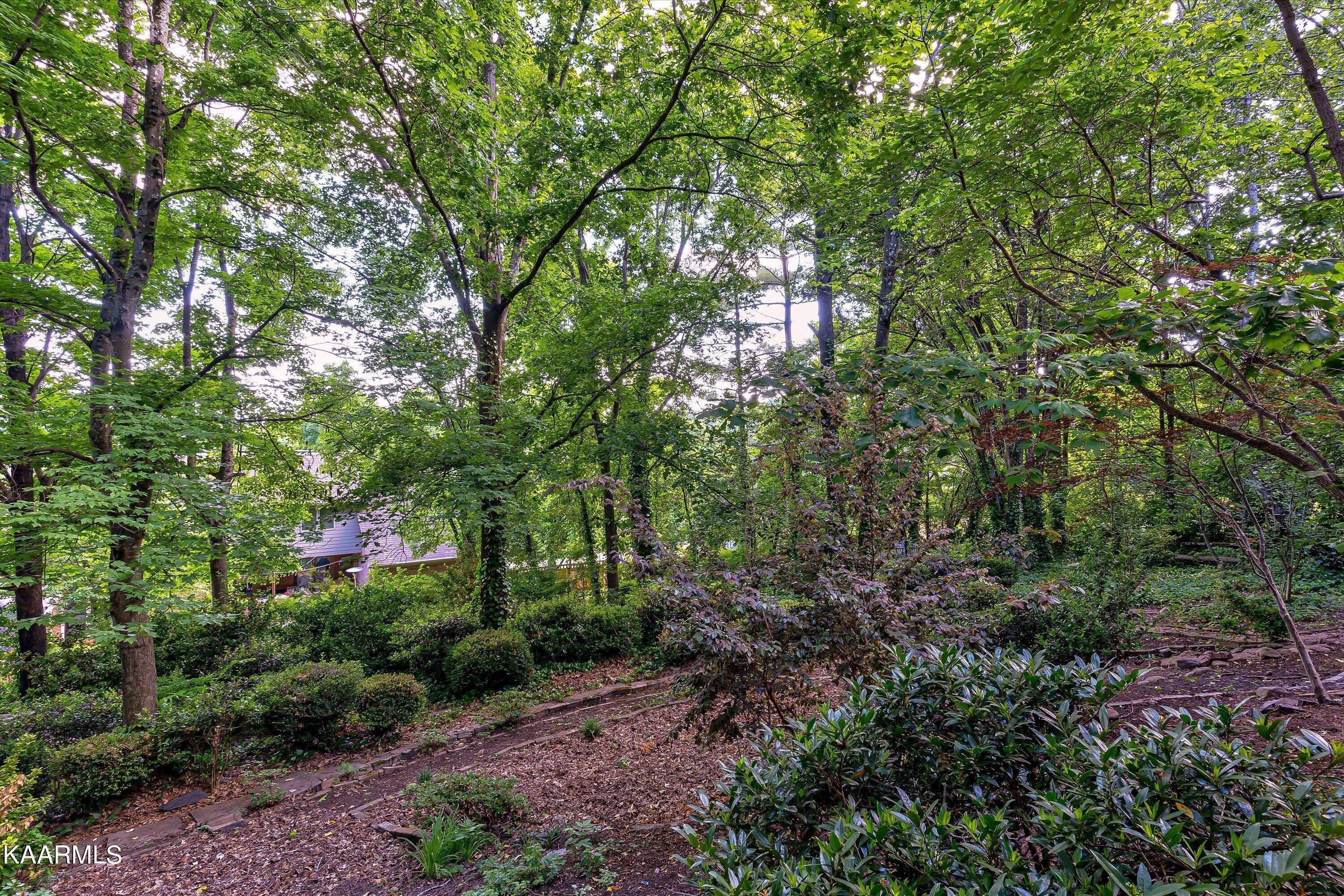 Crown Point Dr, Farragut, TN 37934