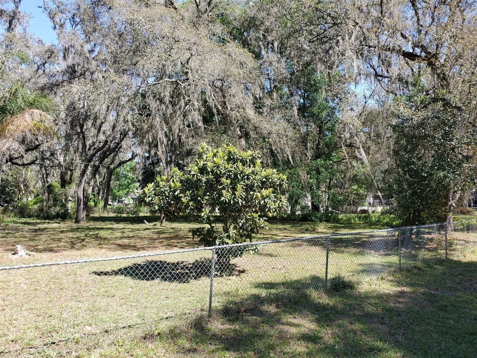 Palm Grove Dr, Zephyrhills, FL 33542