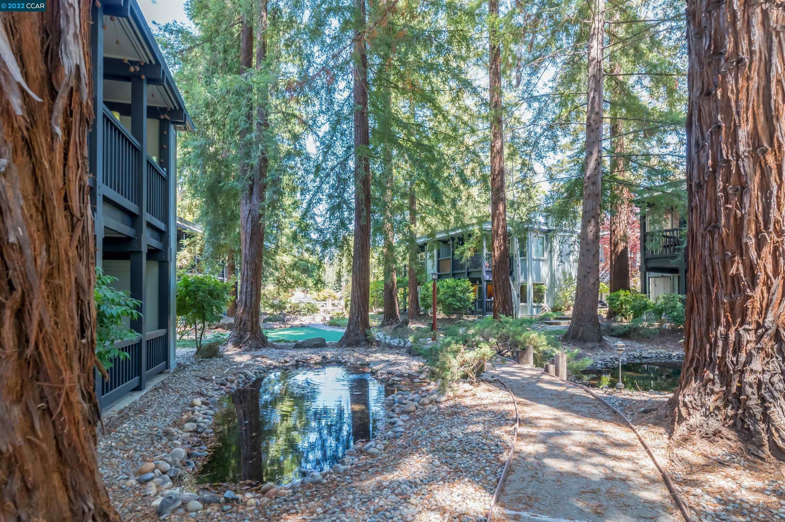 Rubicon Cir, Danville, CA 94526