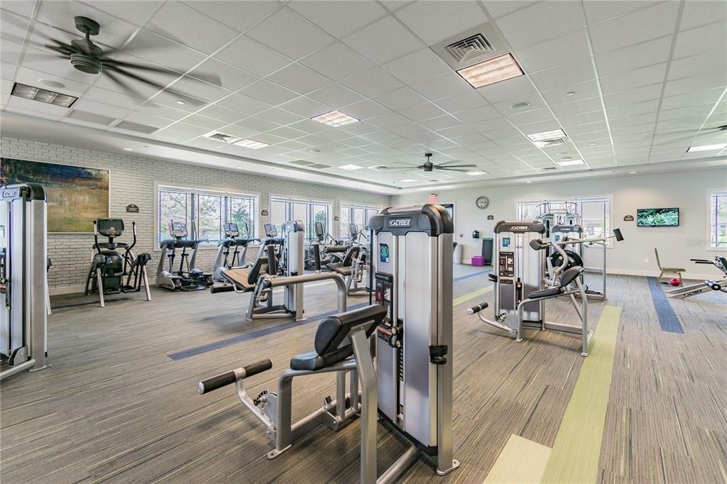 Aurora Lake Cir, Wimauma, FL 33598