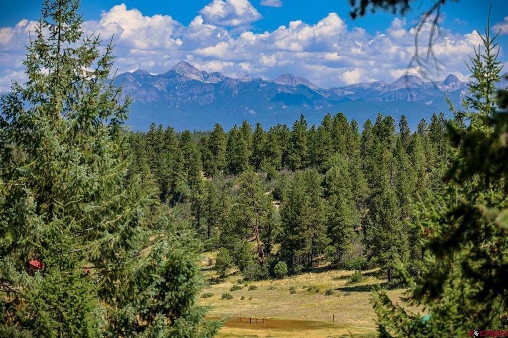 Loma Linda Dr, Pagosa Springs, CO 81147