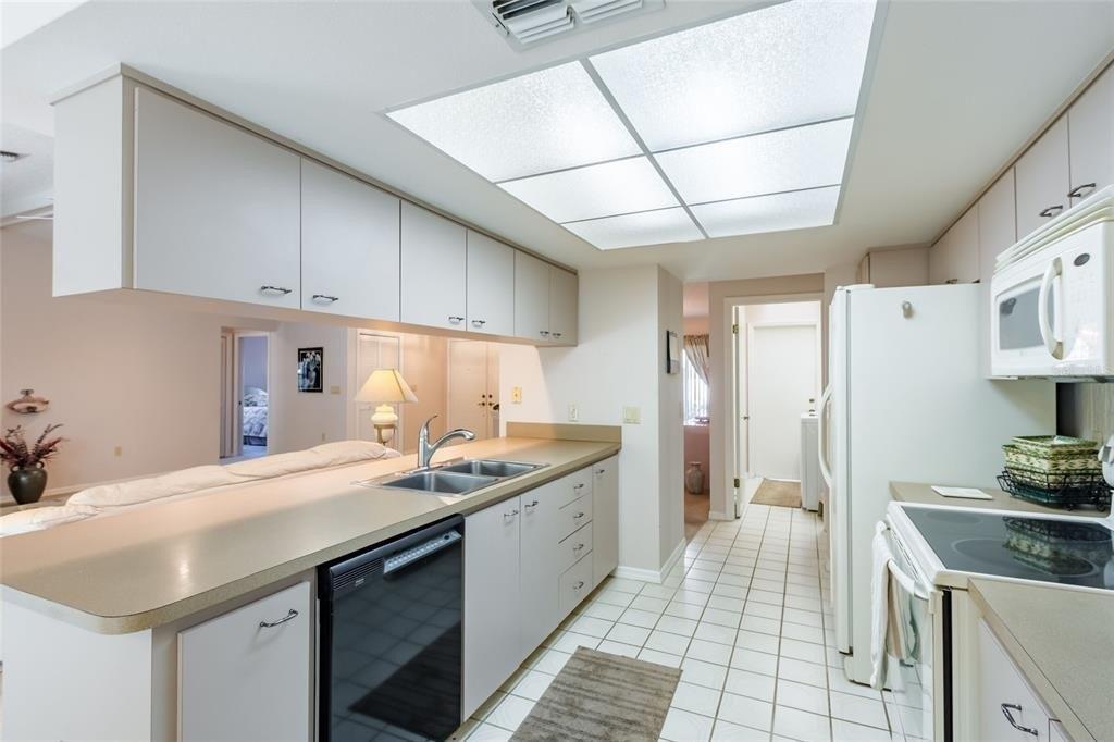 Via Segovia, New Port Richey, FL 34655