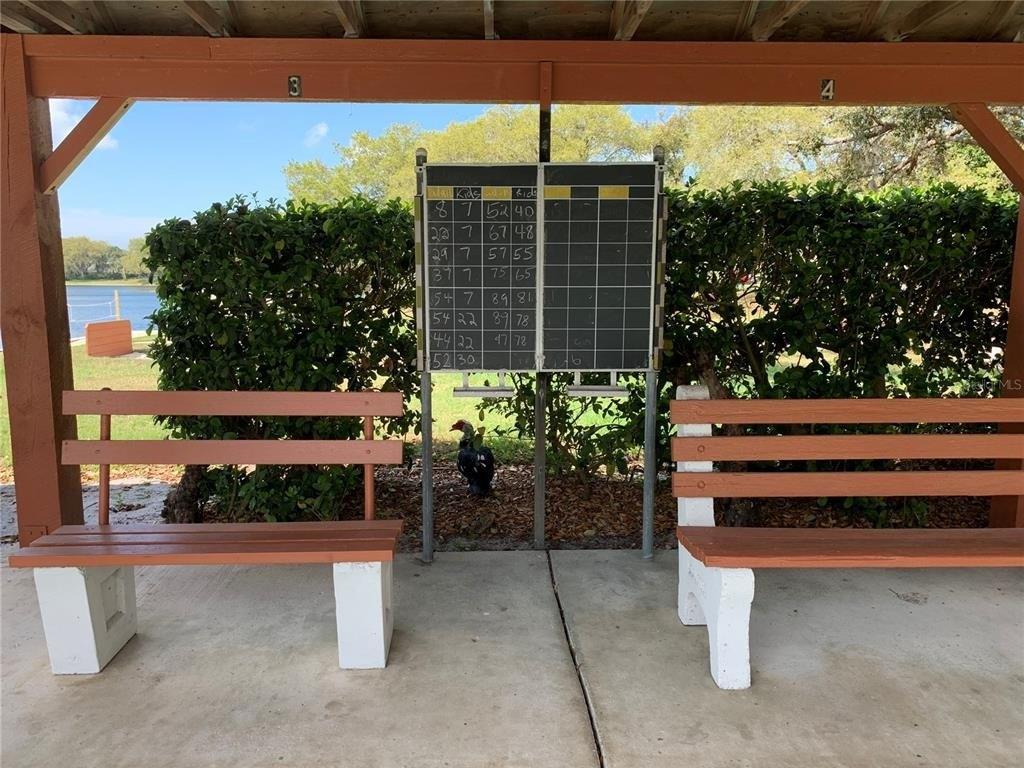 Cedarview Ct, Port Richey, FL 34668