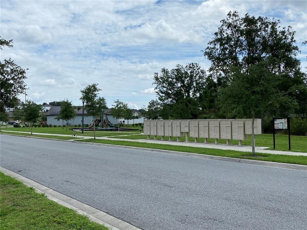 Blooming Cherry Dr, Groveland, FL 34736