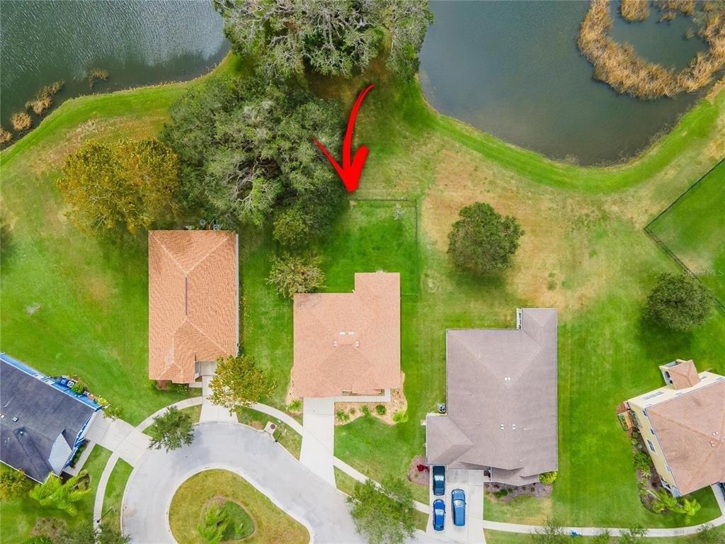 Hammock View Ln, Apollo Beach, FL 33572
