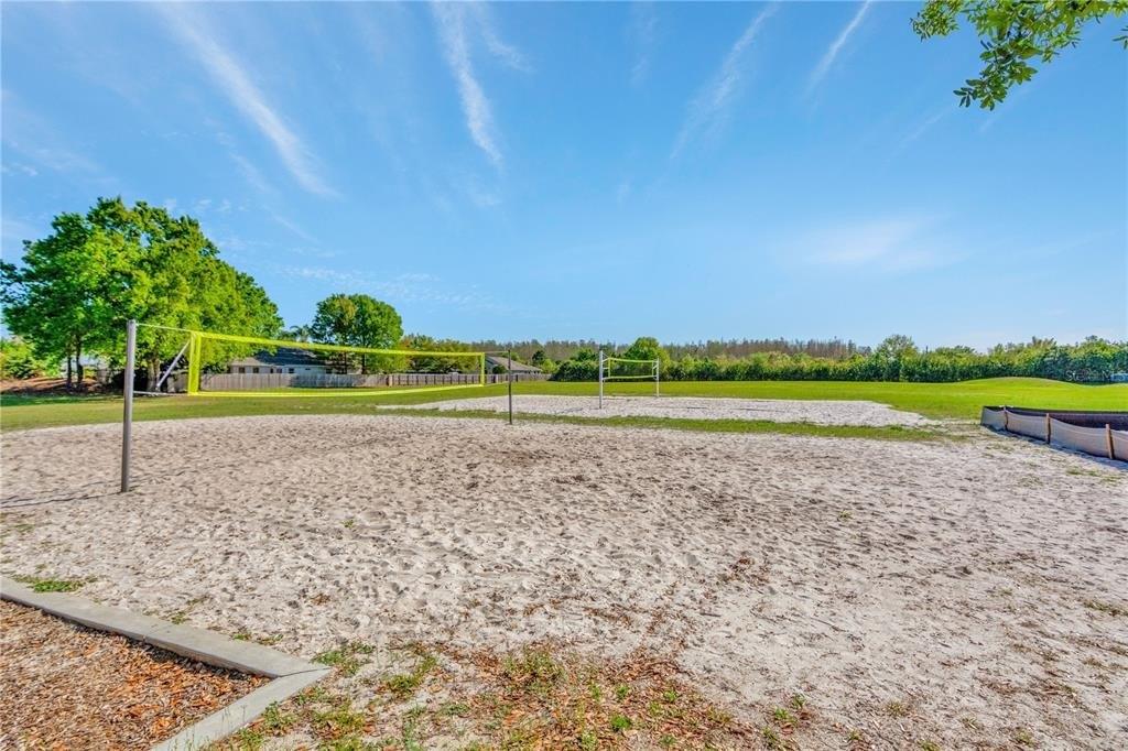 Wild Plum Ln, Lutz, FL 33558