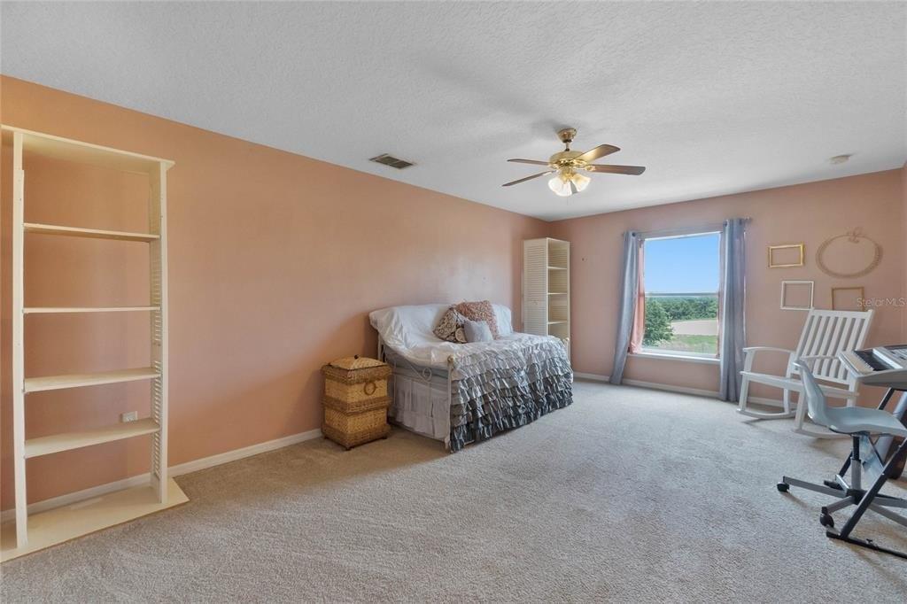 Glossy Leaf Ln, Clermont, FL 34711