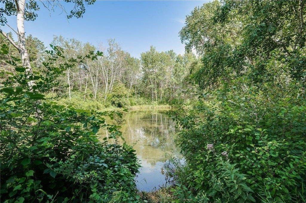 Anemone Cir, Saint Paul, MN 55127