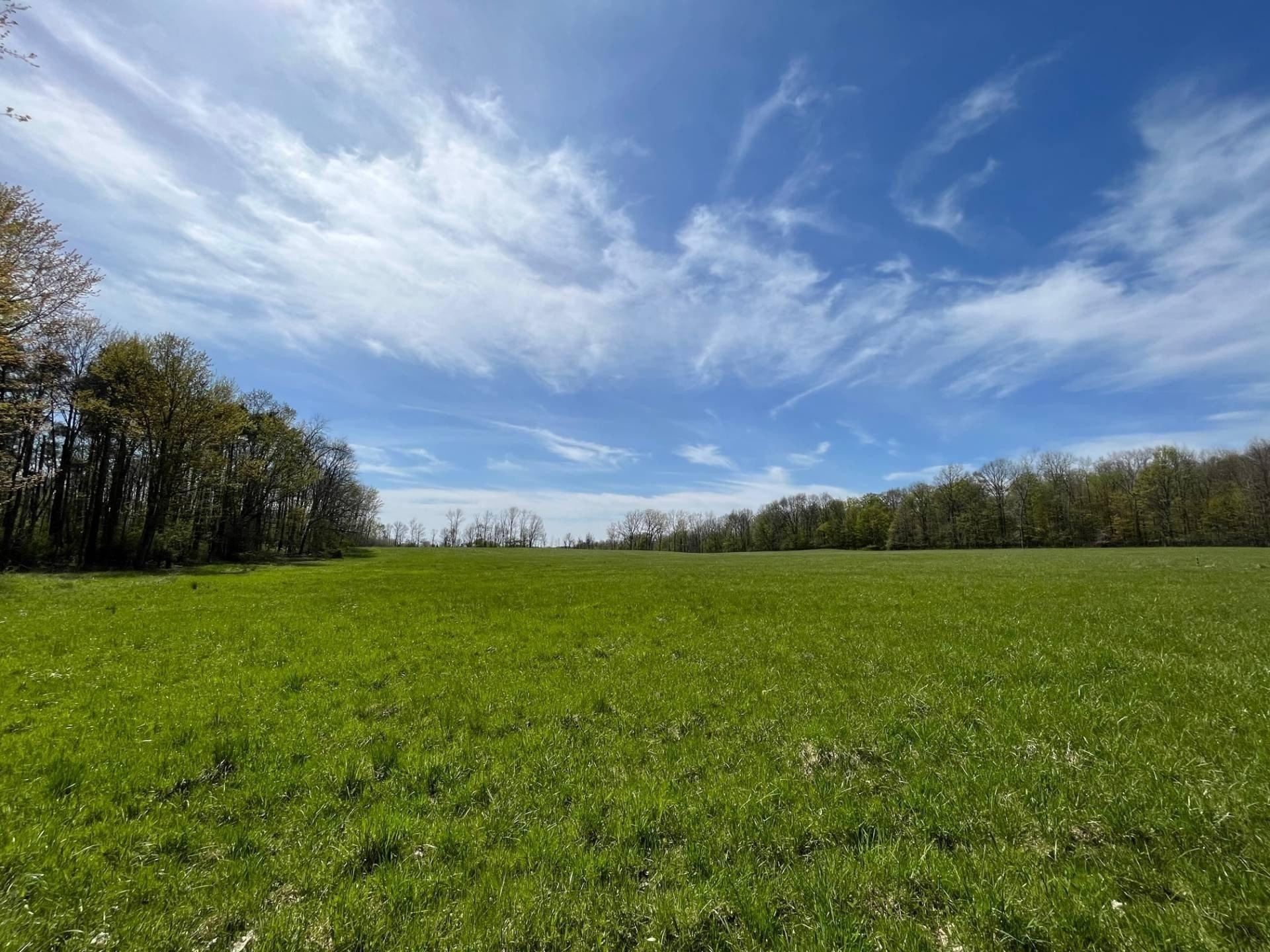 Alleghany Rd, Darien Center, NY 14040