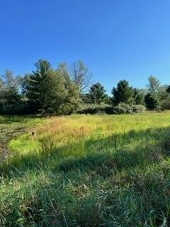 N Pinegrove Ln, Bitely, MI 49309