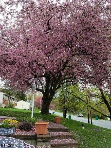 Woodland Dr, Vernon, NJ 07462