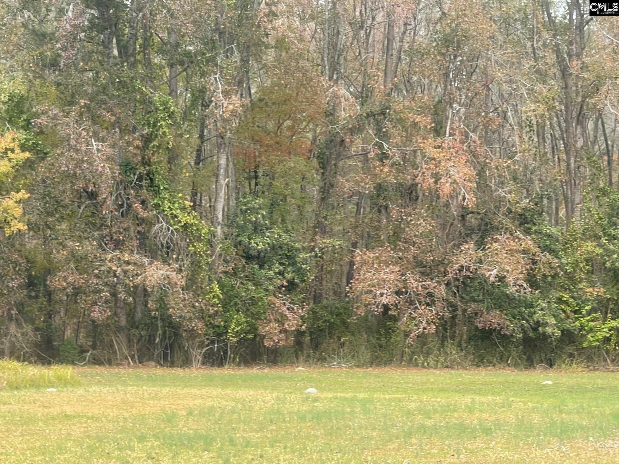 Moolah Dr, Columbia, SC 29223