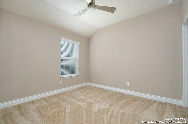 Laurel Brush, San Antonio, TX 78253