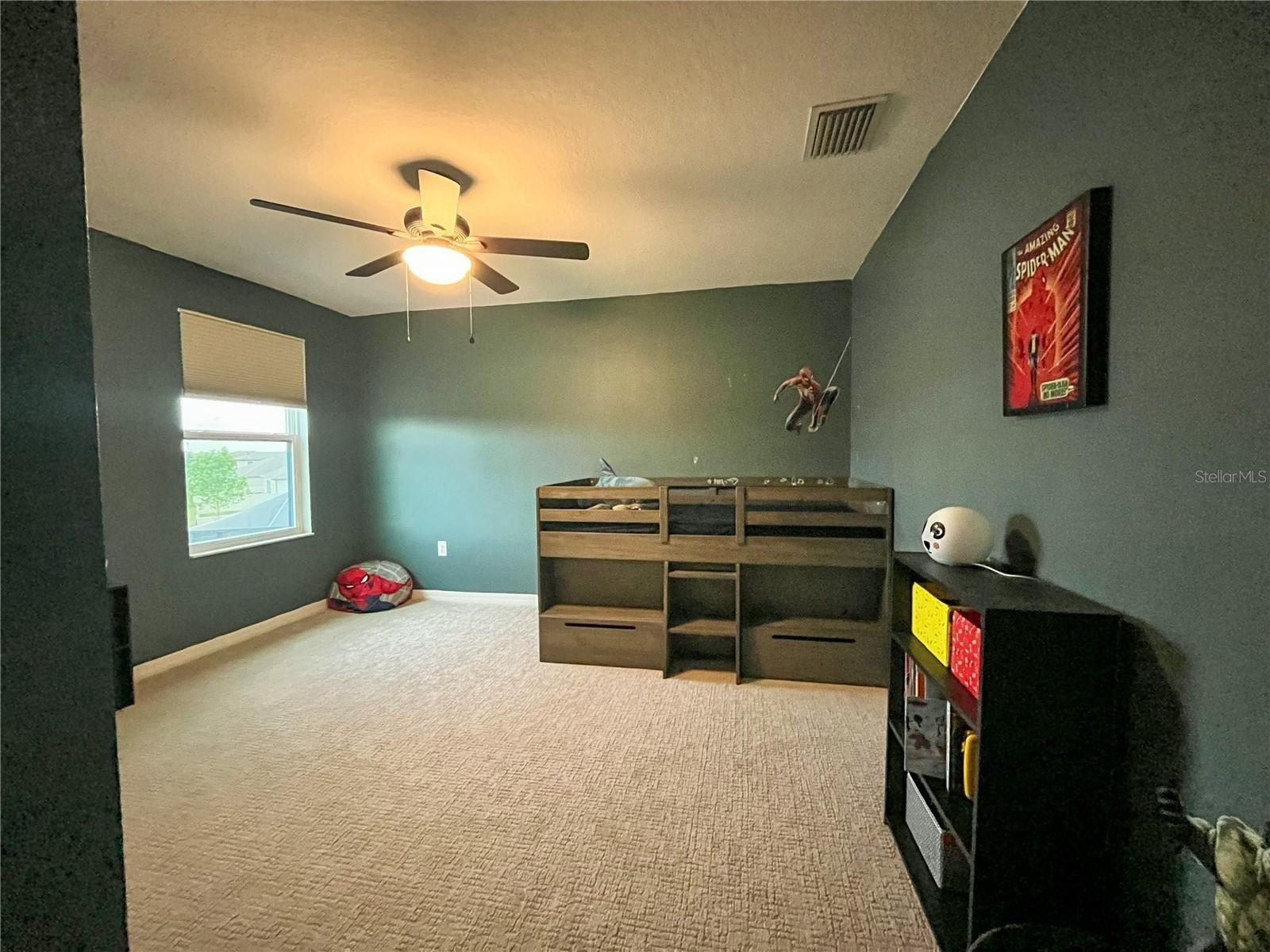 Lago Mist Way, Wesley Chapel, FL 33545