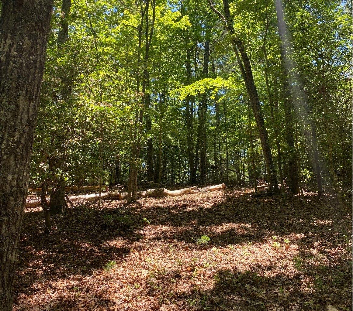 Poteete Creek Rd, Blairsville, GA 30512
