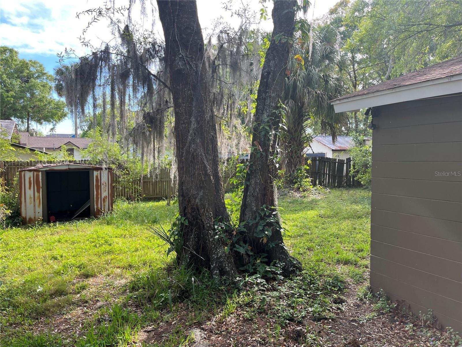 W Idlewild Ave, Tampa, FL 33604