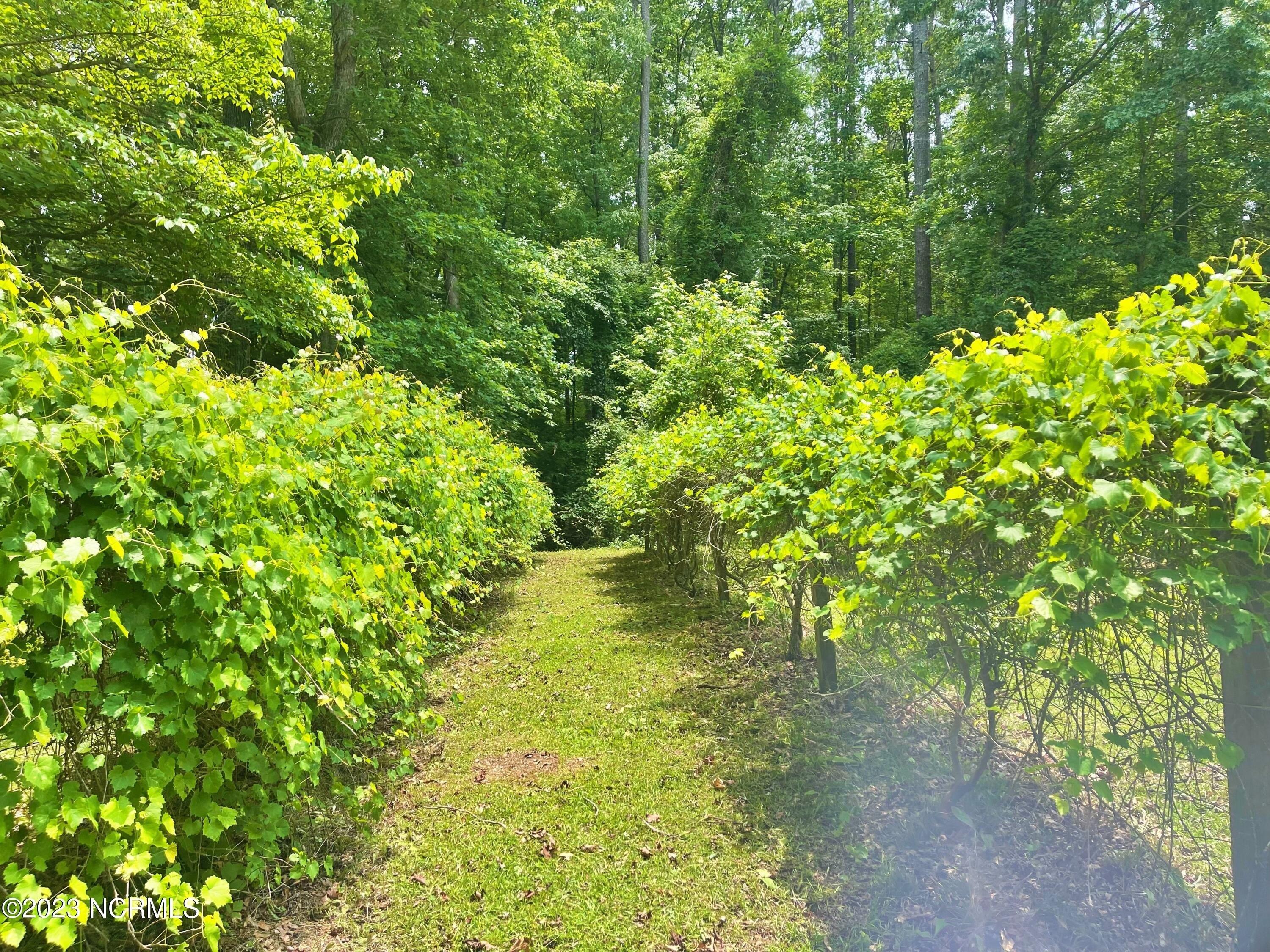 Briarwood Ln, New Bern, NC 28560