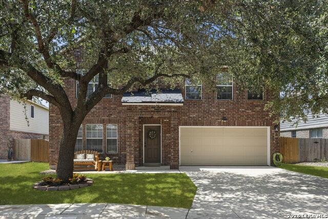 Bridge Cedar, Helotes, TX 78023