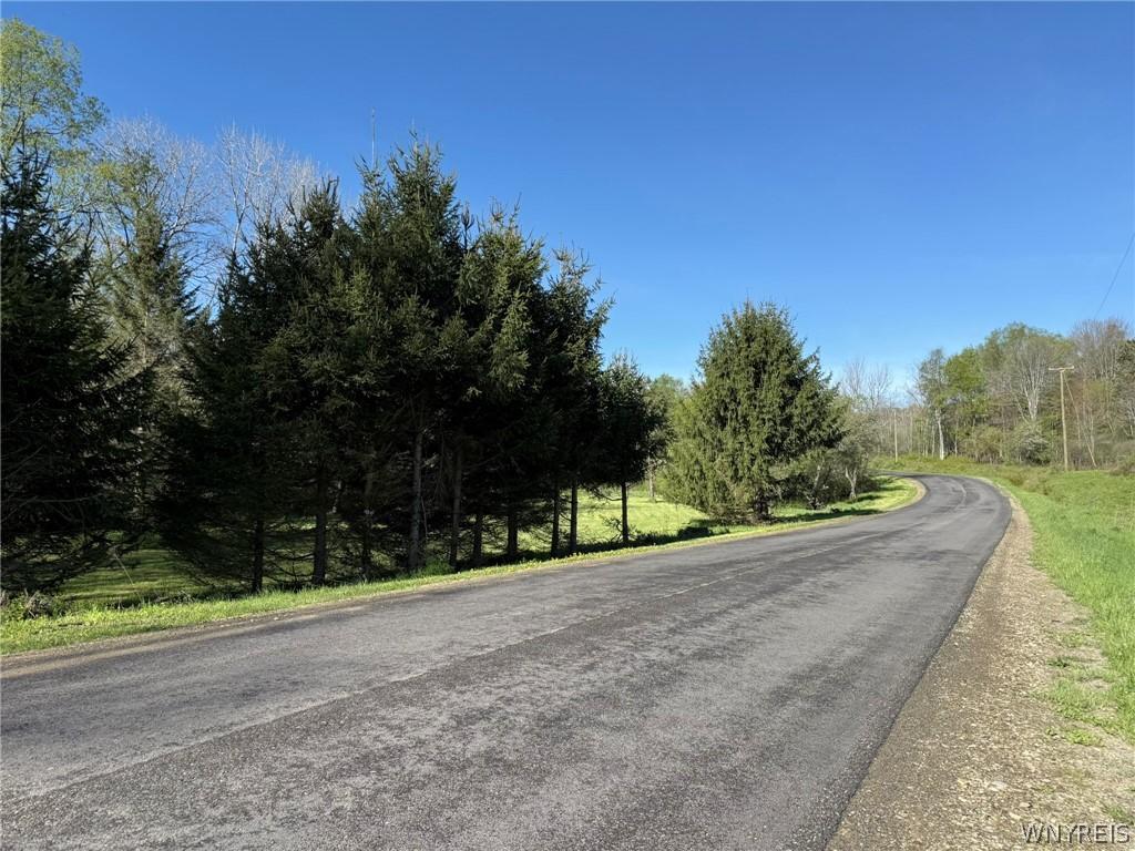 Bear Creek Rd, Franklinville, NY 14737