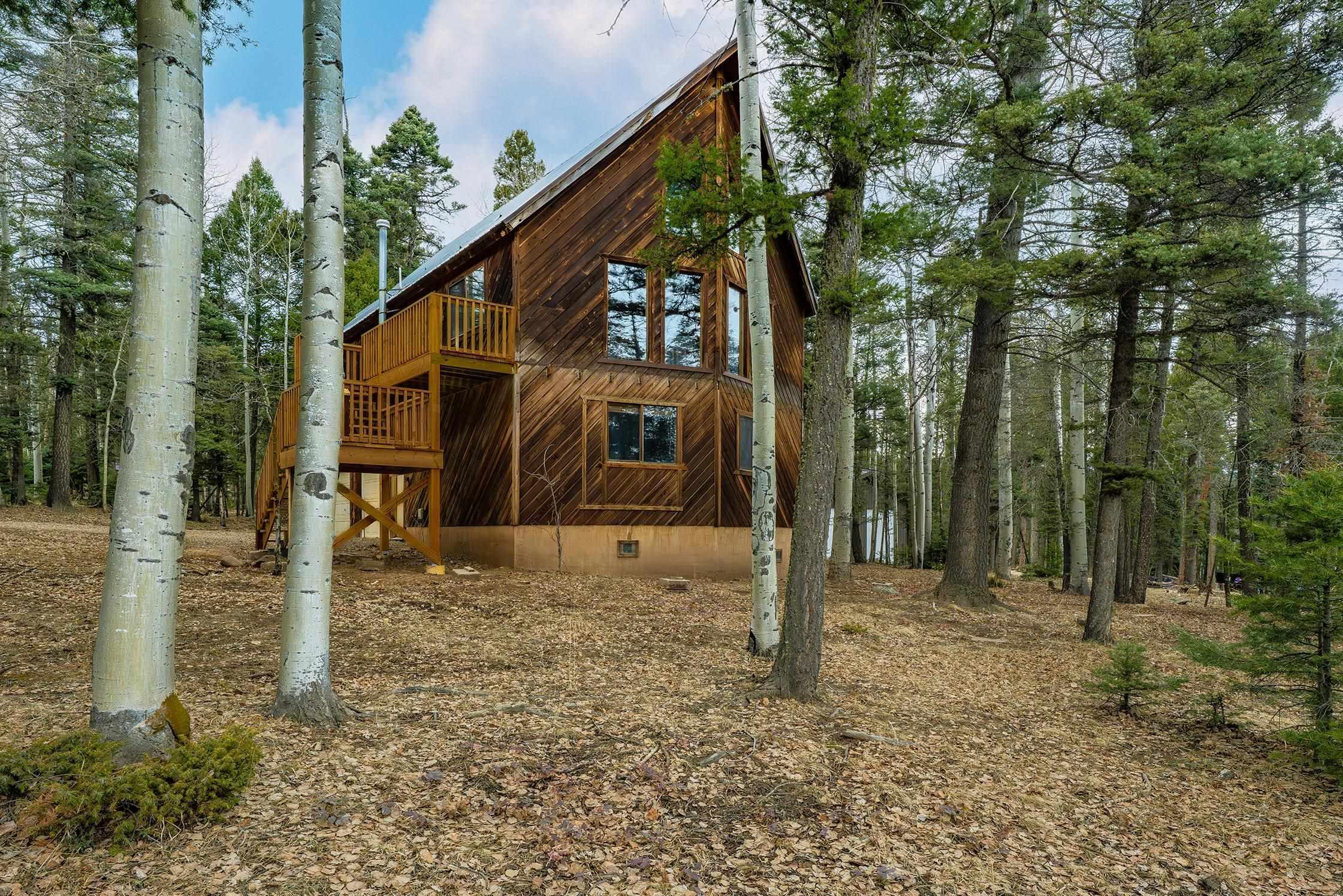 Via Del Rey, Angel Fire, NM 87710