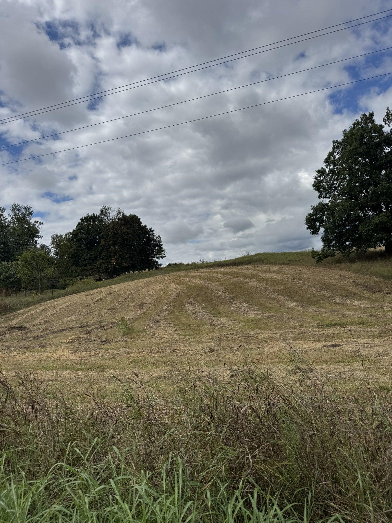 Perrigo Ln, Lafayette, TN 37083