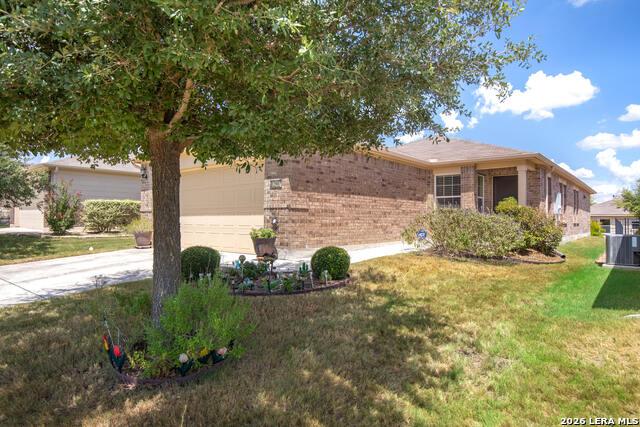 Pronghorn Oak, San Antonio, TX 78253