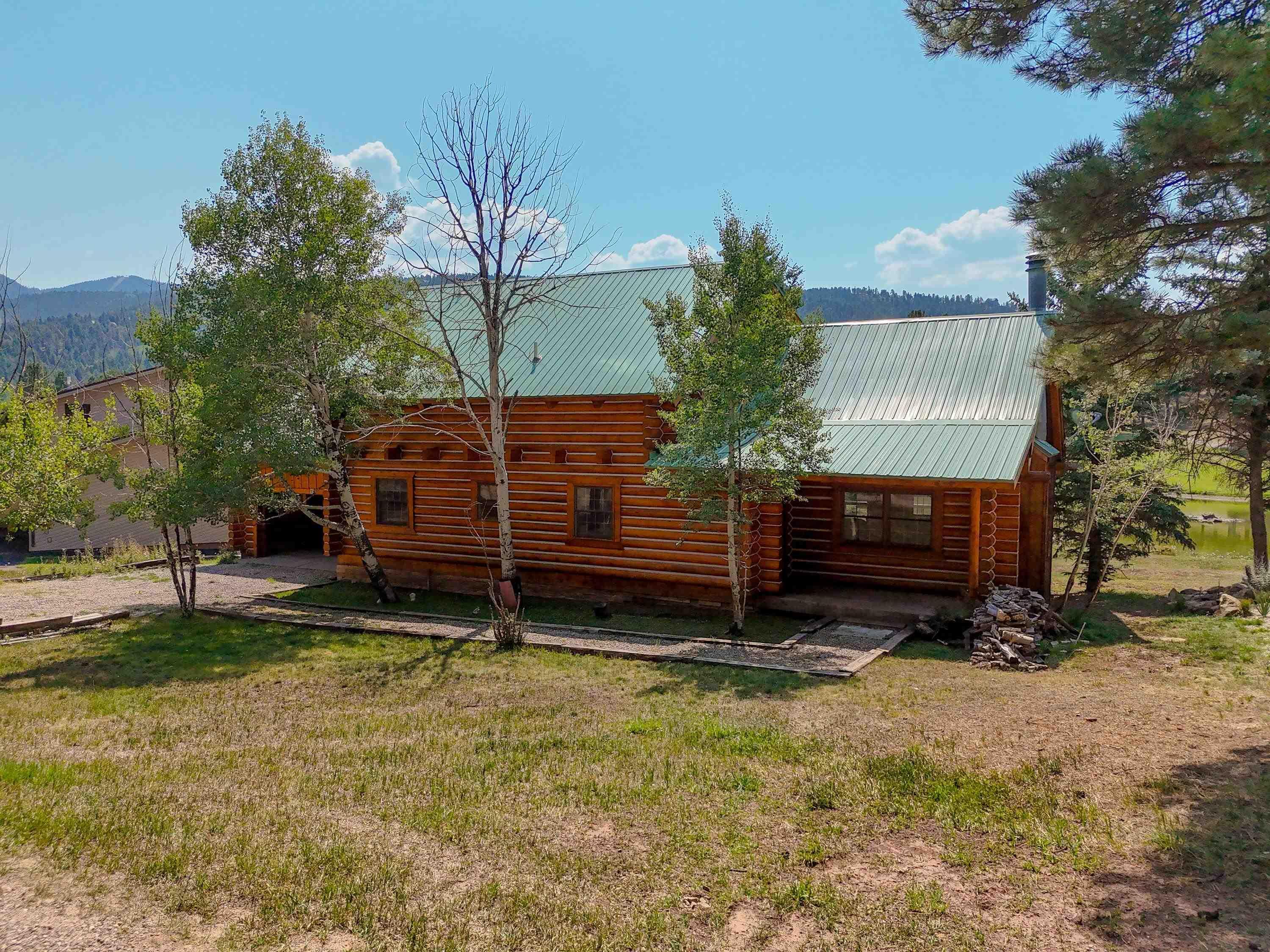 Woodlands Dr, Angel Fire, NM 87710