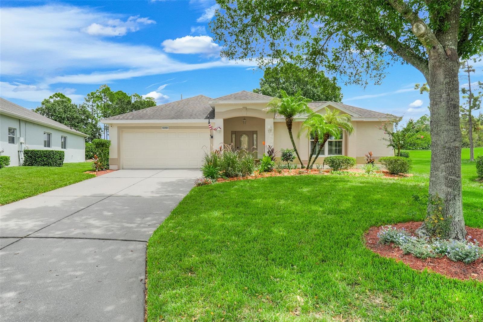New Castle Ct, Clermont, FL 34711