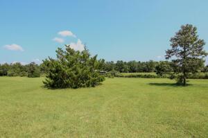 Highway C 4a, Baker, FL 32531