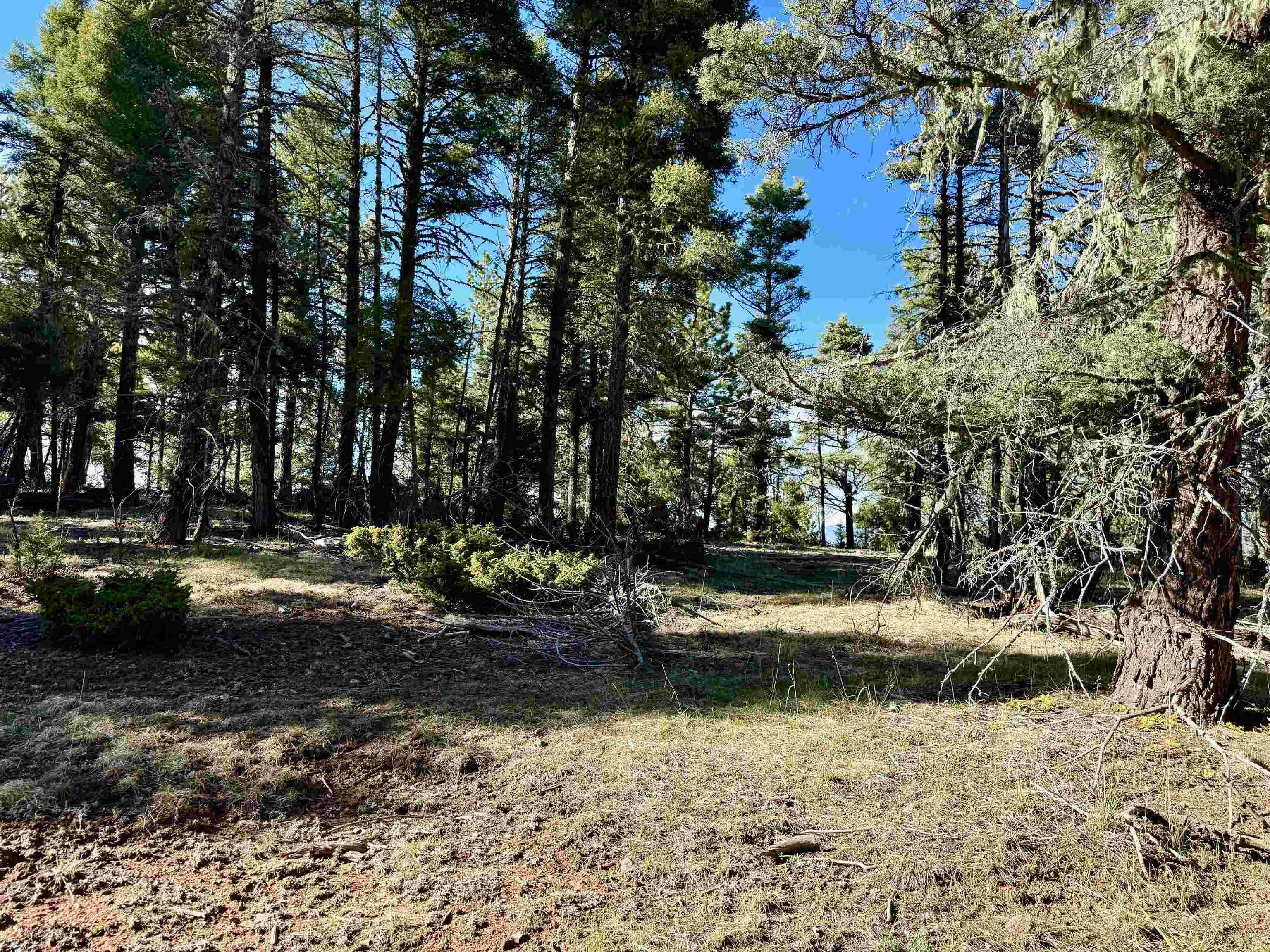 Calle De Los Indios, Angel Fire, NM 87710
