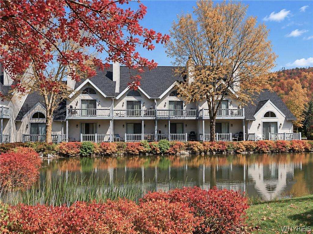 Wildflower, Ellicottville, NY 14731