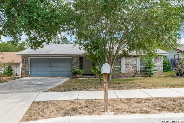 Alamo Blanco St, San Antonio, TX 78233