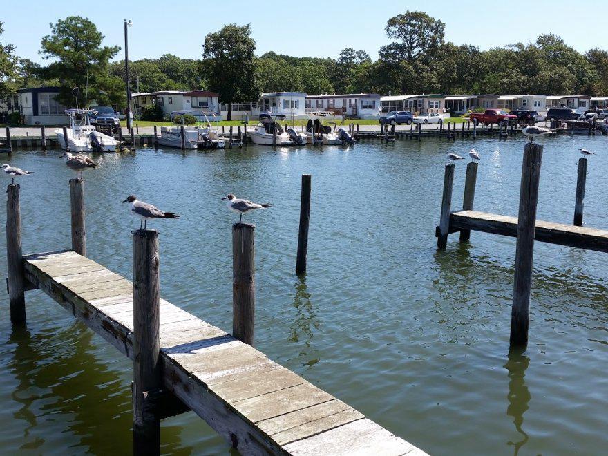 Brant Rd, Ocean View, DE 19970