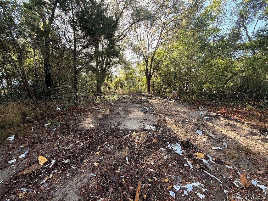 N Carl G Rose Hwy, Hernando, FL 34442