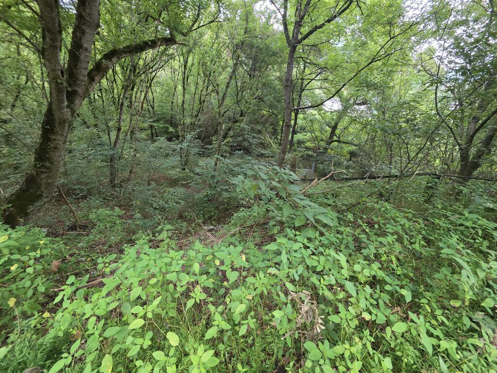 Rocky Rd, Pikeville, KY 41501