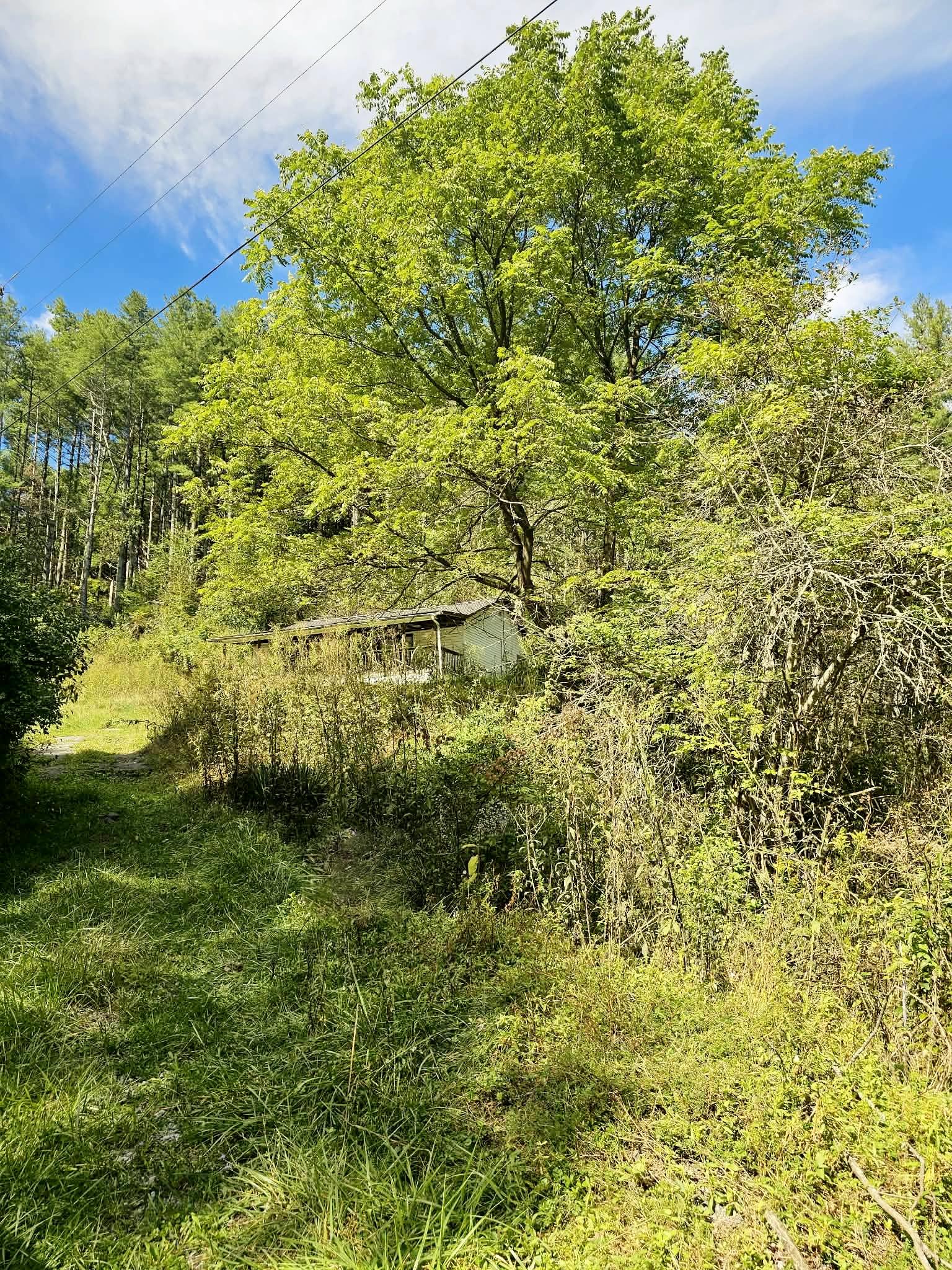 Mud Fork Rd, Bluefield, VA 24605
