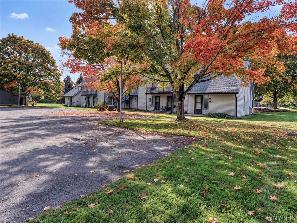 Wildflower, Ellicottville, NY 14731