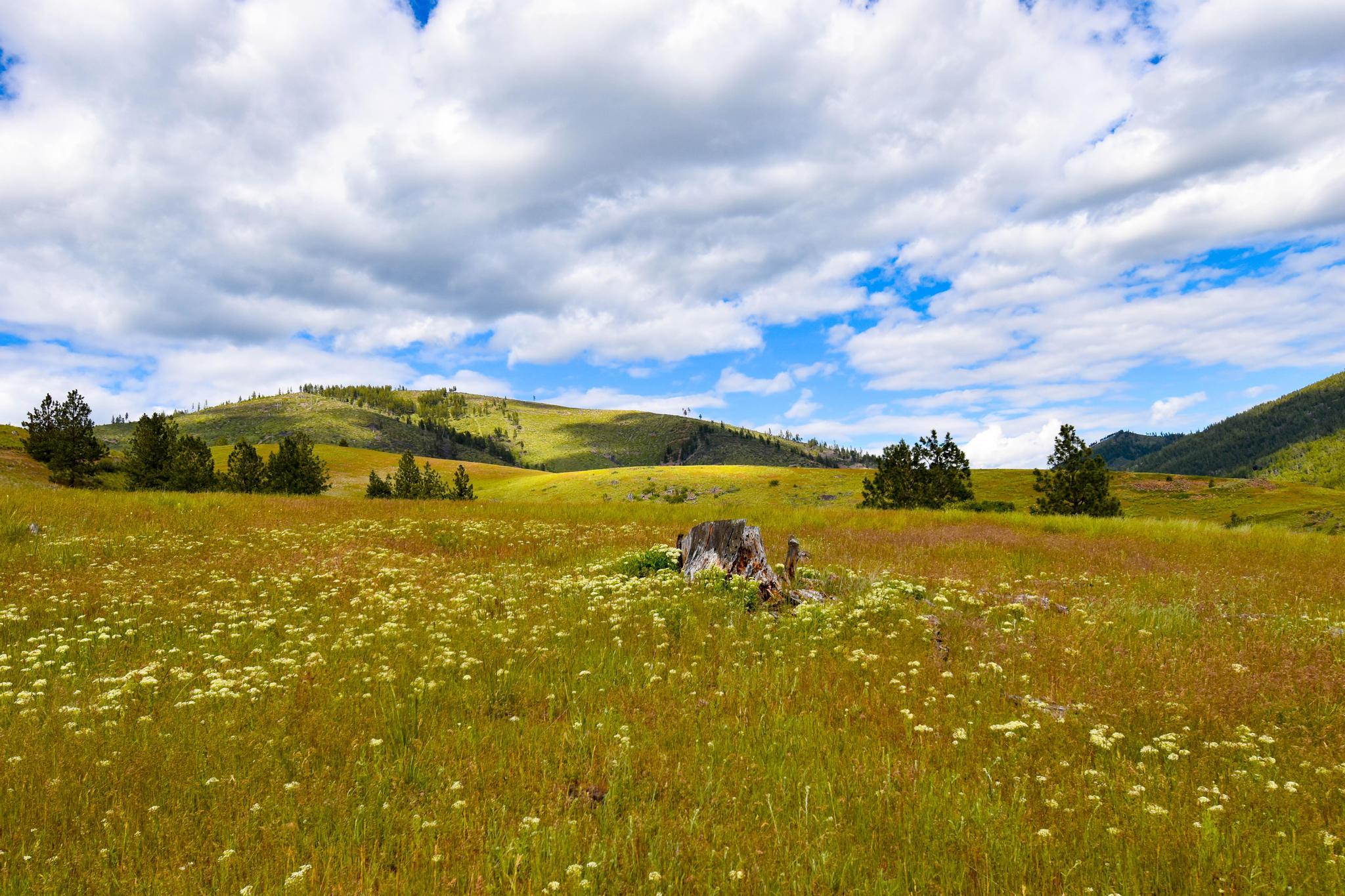 Henry Creek Rd, Plains, MT 59859