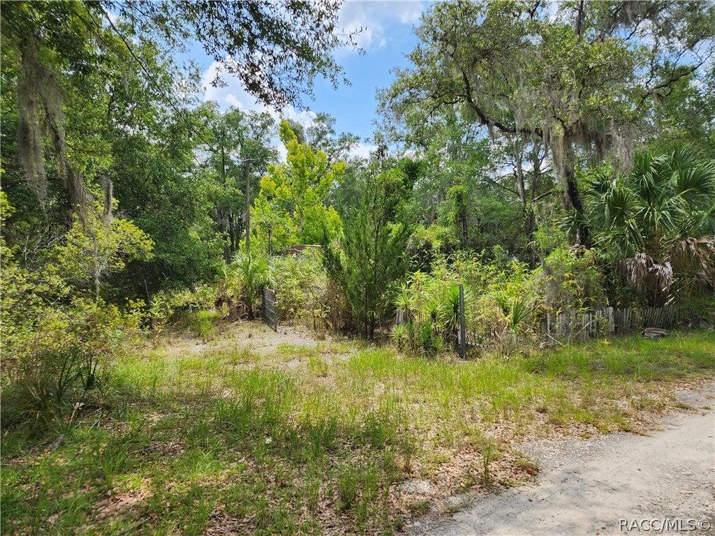 N Ginny Lane Pt, Inglis, FL 34449