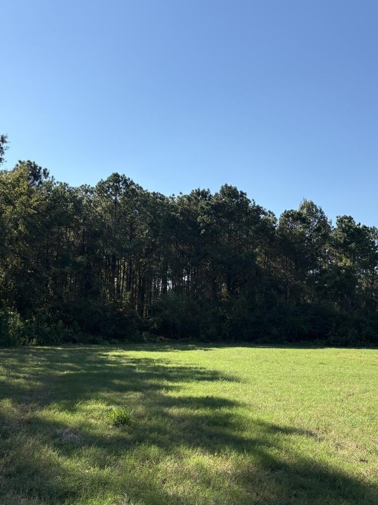 Attapulgus Whigham Rd, Whigham, GA 39897