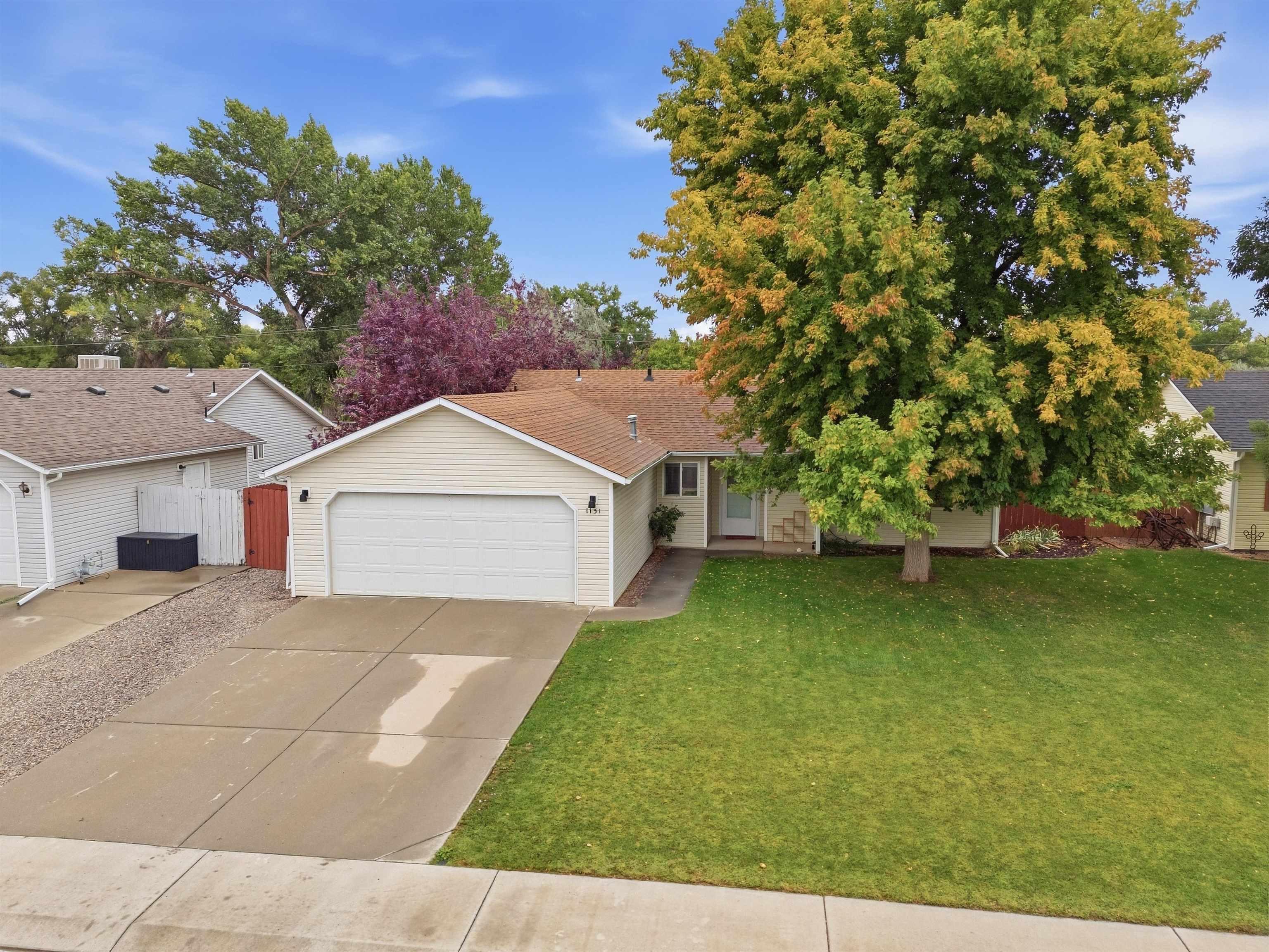 Walnut St, Fruita, CO 81521