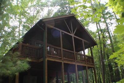 Pine Tree Dr, Blue Ridge, GA 30513