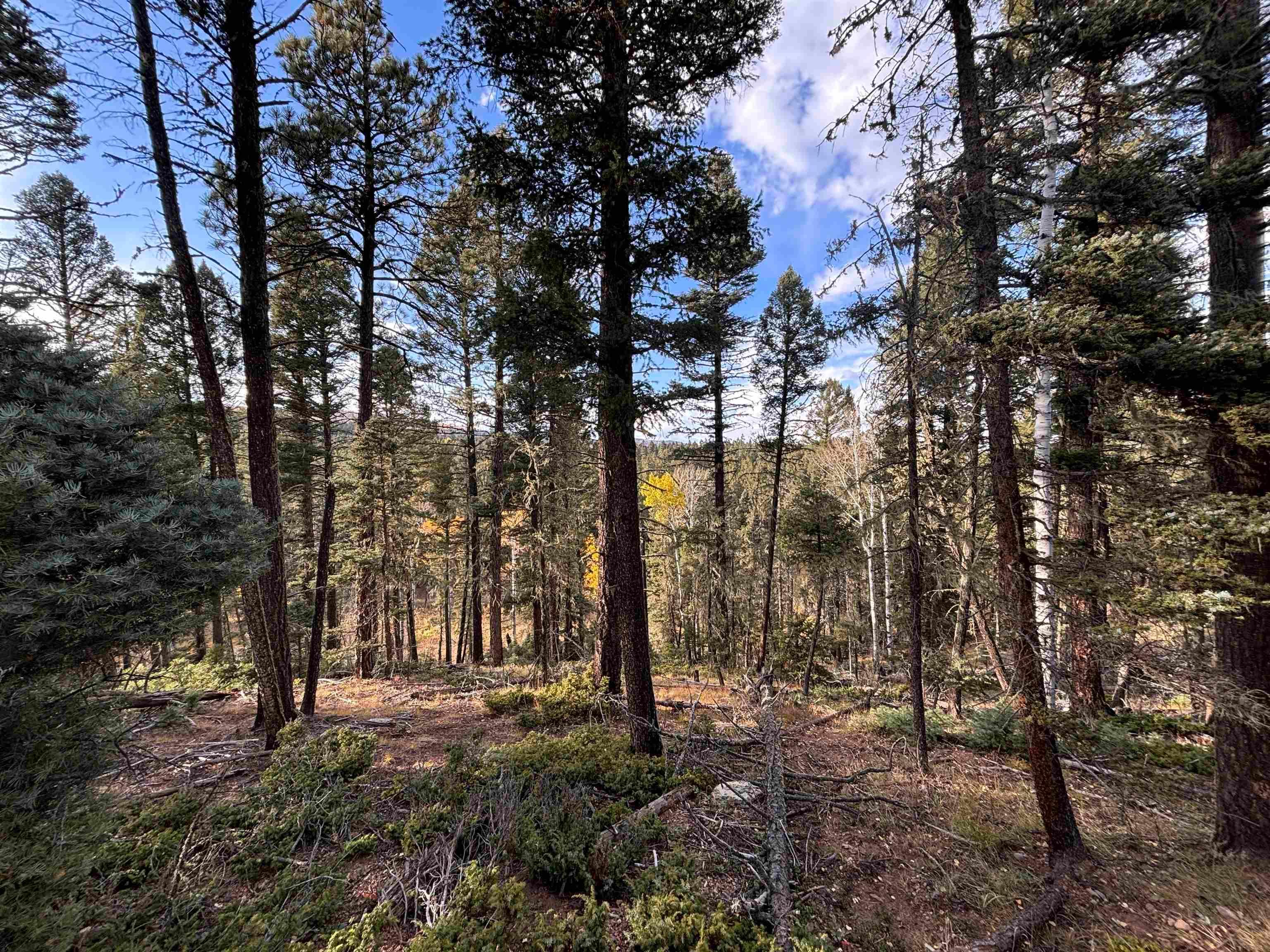 Lakewood Ct, Angel Fire, NM 87710
