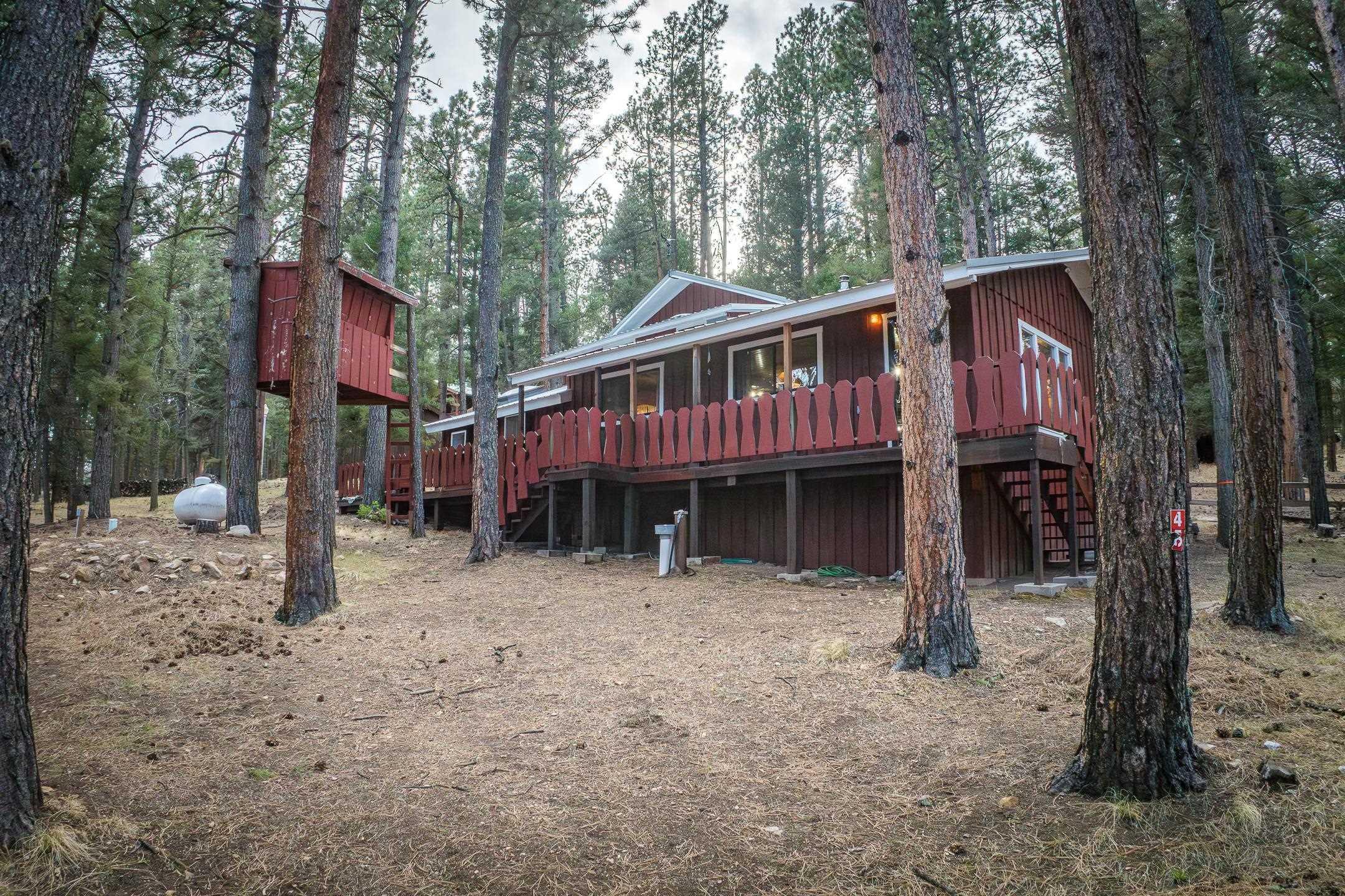 Road 1, Eagle Nest, NM 87718