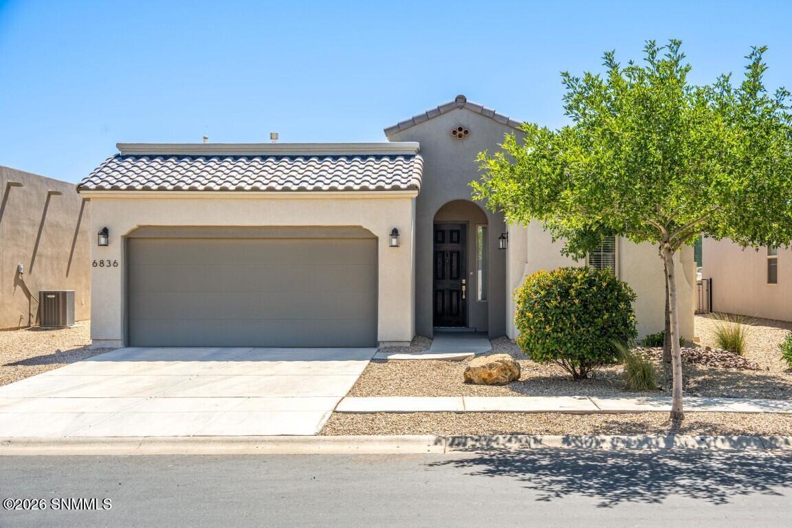Cassini Ave, Las Cruces, NM 88012