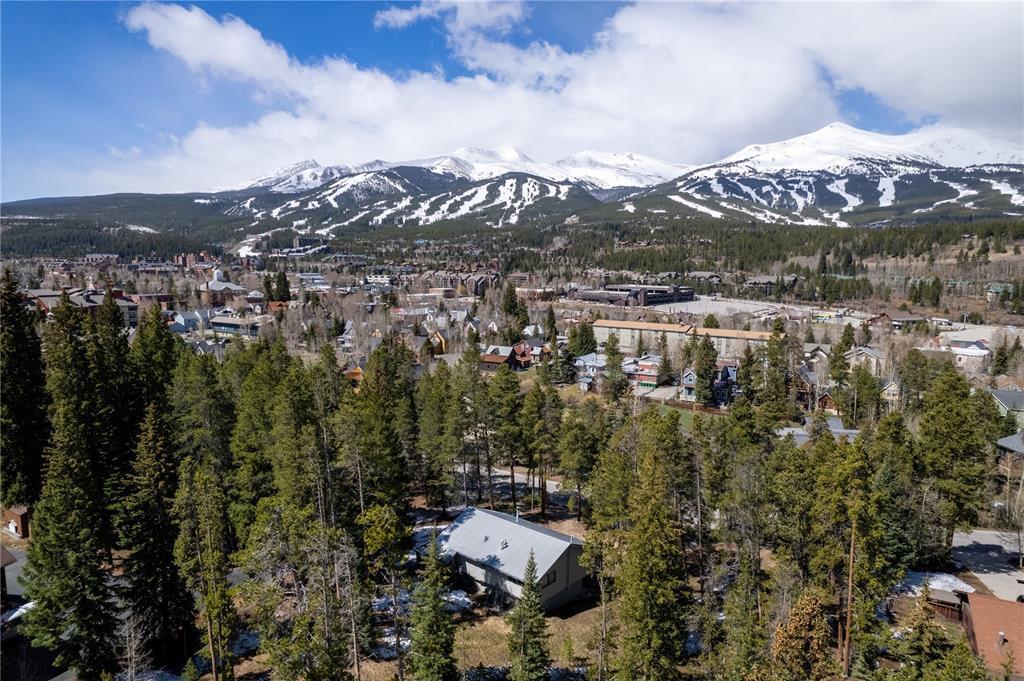 Briar Rose Ln, Breckenridge, CO 80424