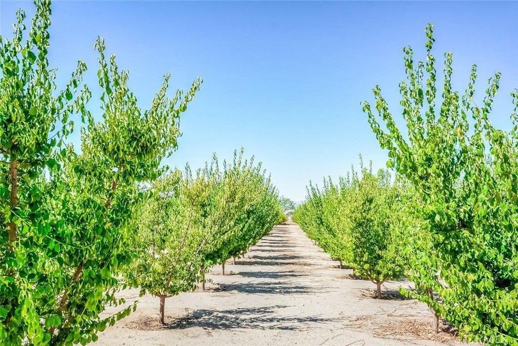 Paramount Rd, Phelan, CA 92371