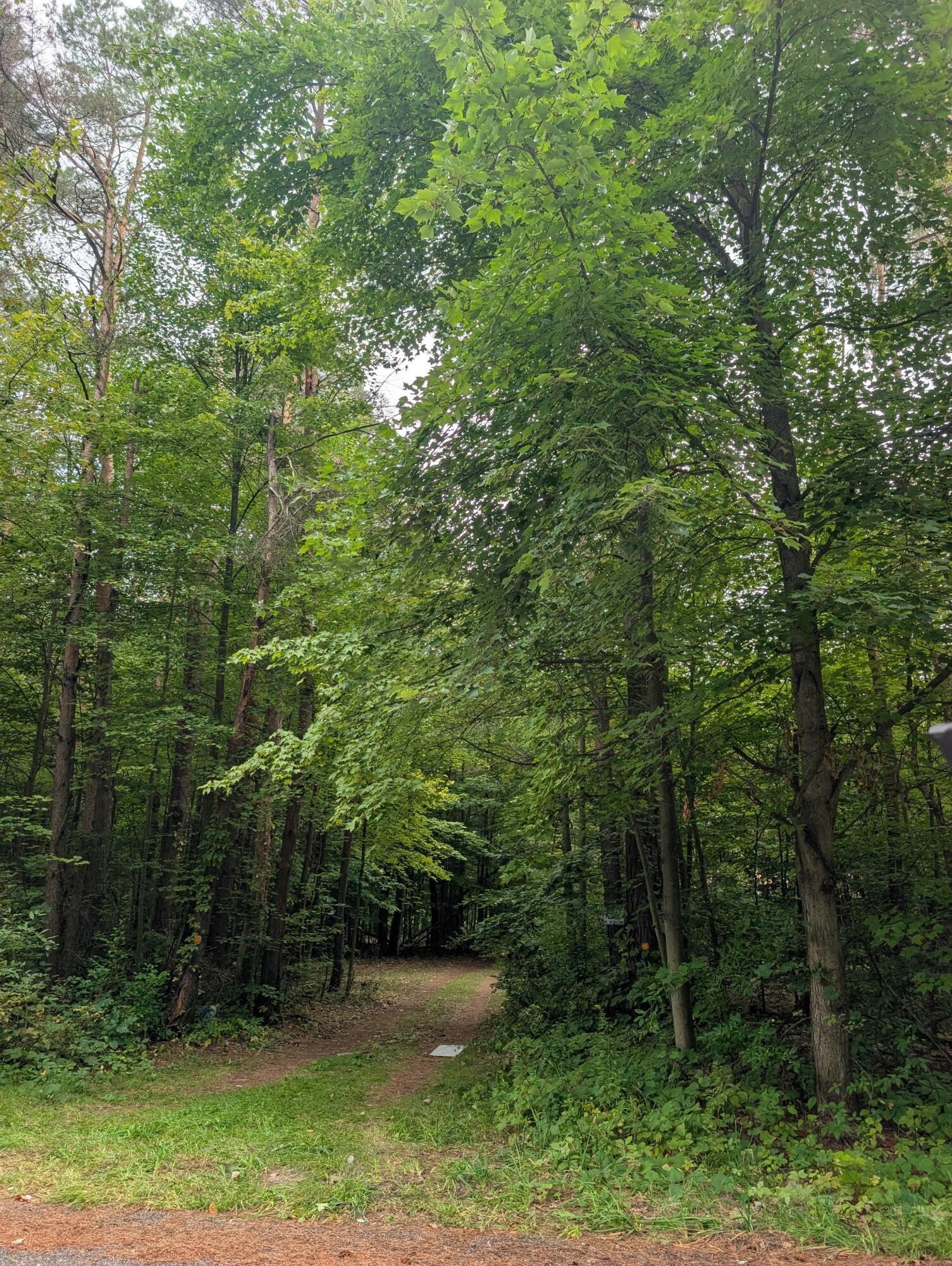 Heintzelman Ave Ne, Cedar Springs, MI 49319